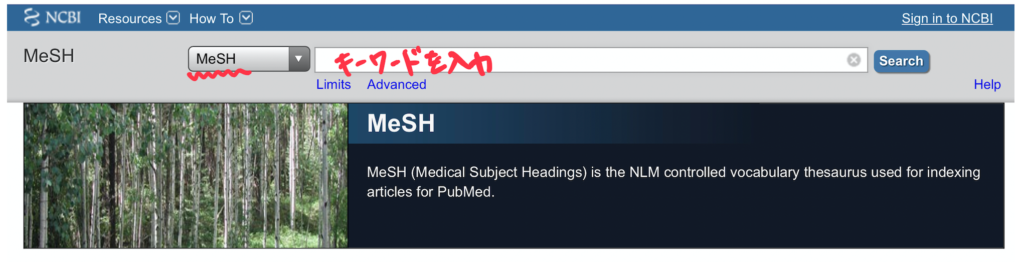 pubmed検索方法、MeSH、メッシュ、Medical Subjest Headings