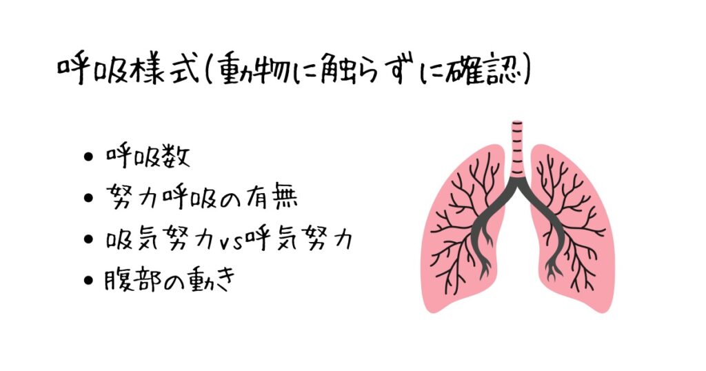 呼吸様式に関するイラスト