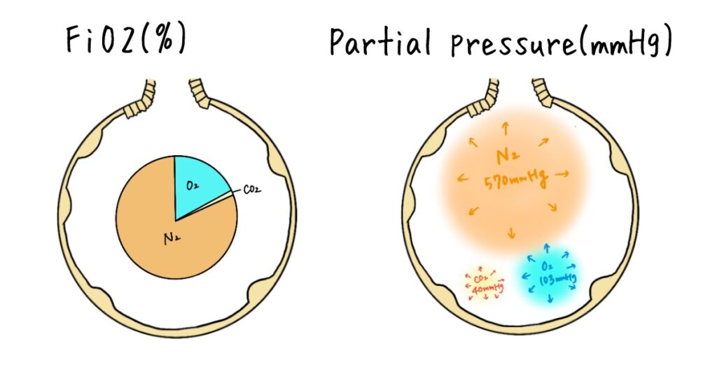 FiO2, Partial Pressure