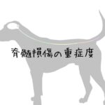 【今更でもいいからとにかく学ぶ】犬の脊髄損傷の重症度評価