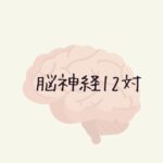 【今更でもいいからとにかく学ぶ】脳神経、1から12対まで言えるかな？＜前編＞