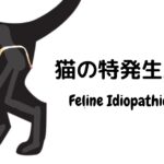 【今更でもいいからとにかく学ぶ】猫の特発性膀胱炎（FIC）の内科治療