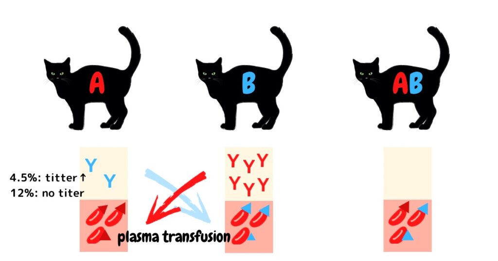 ネコの血液型　血液型不適合　血漿輸血