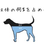 【今更でもいいからとにかく学ぶ】輸液について～水は体の何%を占める？～