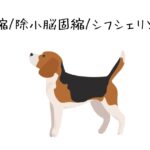 【今更学ぶシリーズ】犬の除脳、除小脳固縮、シフシェリントン姿勢の見分け方