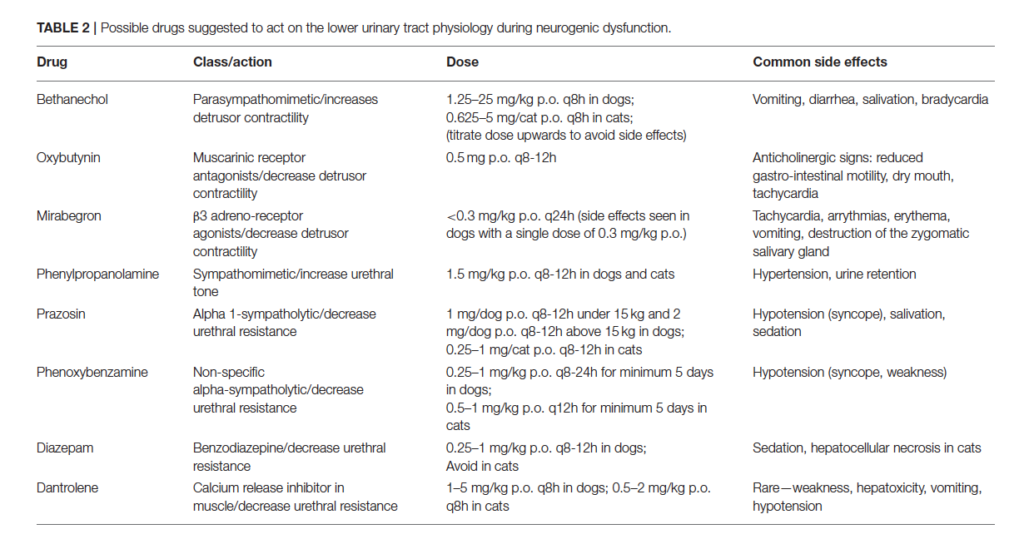 膀胱麻痺（LMN）の際に使用を検討する薬剤の表