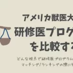 アメリカ獣医大学の研修医プログラムを比較するためのモノサシ