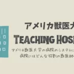 アメリカ獣医大学 Teaching Hospital/日本の獣医大学との違い