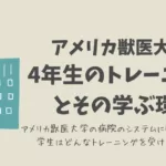 アメリカ獣医大学 4年生のトレーニングとその学ぶ環境