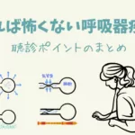 犬・猫の頻呼吸④聴診ポイントのまとめ