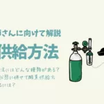 様々な酸素供給方法/救急患者の命を救う動物看護とは