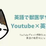 Youtube×英語検索の威力/アメリカ獣医大学で働く