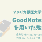 GoodNotesを用いた勉強法/アメリカ獣医大学で学ぶ