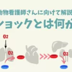 ショックとは何か/救急重症患者の命を救う動物看護