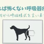 犬・猫の頻呼吸③呼吸様式を言い表す