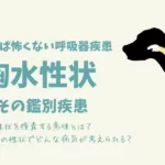 犬猫の胸水②胸水の性状検査/鑑別疾患