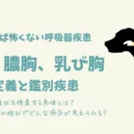 犬猫の胸水①血胸、膿胸、乳び胸/鑑別疾患