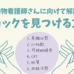 ショックの見つけ方/救急患者の命を救う動物看護