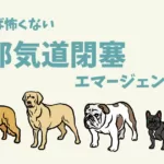 犬猫の上部気道閉塞への緊急対応