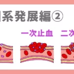 凝固系発展編②（Cell based modelを読み解く）