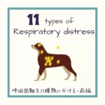 【犬猫呼吸困難の原因11種類】病態から理解する犬猫の病気