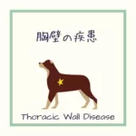 【犬猫の胸壁の疾患】をイラストを用いて解説！