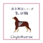 【犬猫の乳び胸】の病態生理についてイラストを用いて解説！