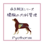 【犬猫の膿胸の内科管理】をイラストを用いて解説！