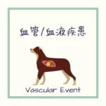 【犬猫の血管・血液疾患による呼吸困難】をイラストを用いて病態解説！