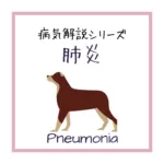 【犬猫の肺炎】の病態をイラストで解説！