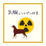 【犬猫の気胸】レントゲン所見を解説！