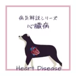 【犬猫の心臓病】についてイラストを用いて解説！