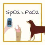 【SpO2、PaO2とは？】わかりやすくシンプルに解説！