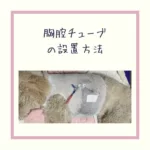 【犬猫の胸腔チューブの設置法】について写真を用いて解説！