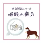 【犬の喉頭の病気】をイラストで解説！