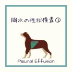 【犬猫の胸水の性状検査①】についてイラストで解説！（血胸、膿胸、乳び胸、FIPを疑った時…）