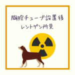 【犬猫の胸腔チューブ設置後のレントゲン所見】について解説！