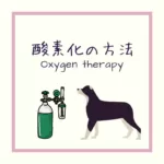 【犬猫への酸素供給方法】様々な酸素投与方法を解説！